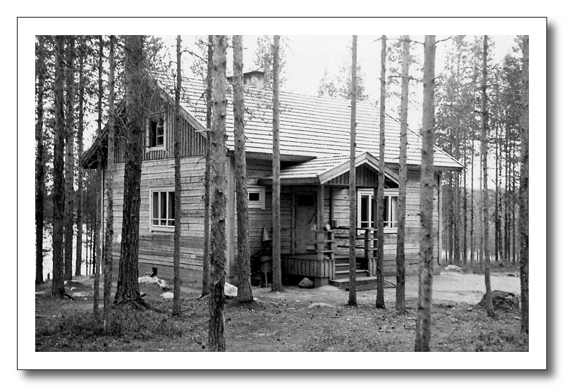 kokkojärvi3.jpg
