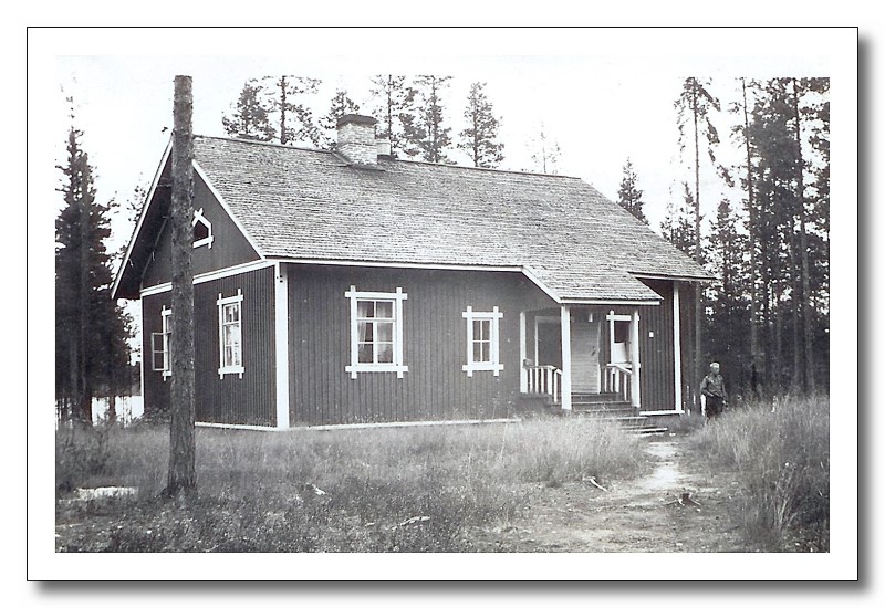 kokkojärvi1.jpg