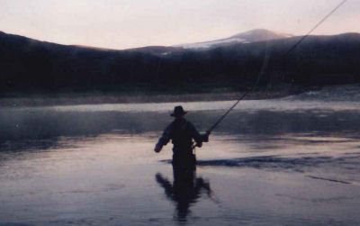 p5a.jpg