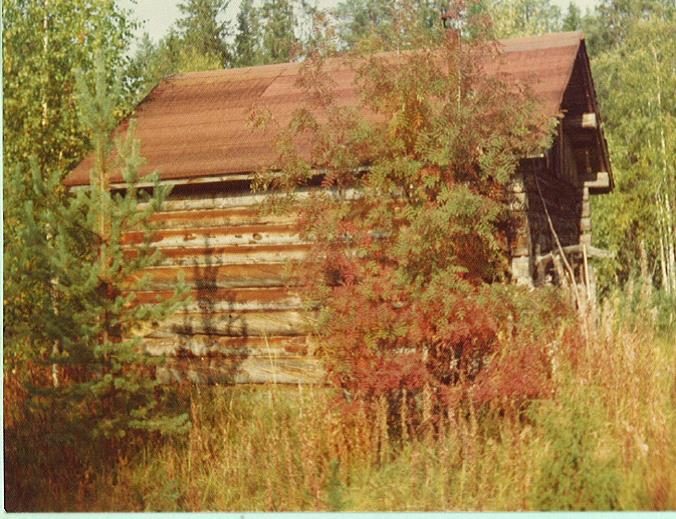 niemijärven kämppä.jpg
