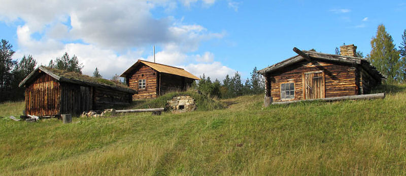 kenttä.jpg