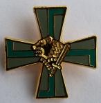 Pinssi