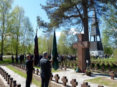 P1030279 (Custom).JPG